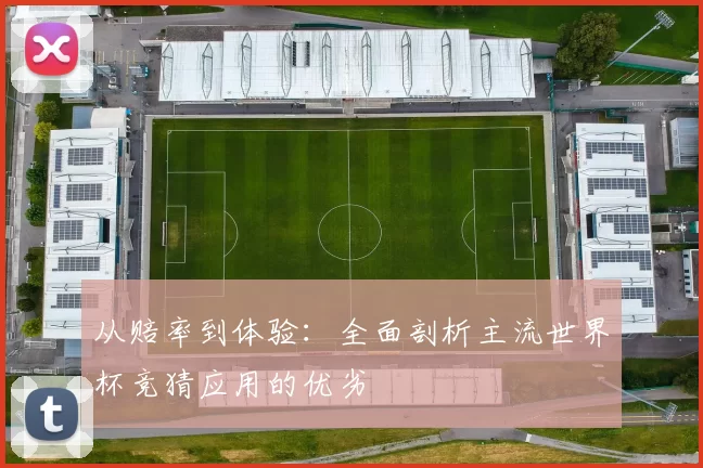 从赔率到体验：全面剖析主流世界杯竞猜应用的优劣