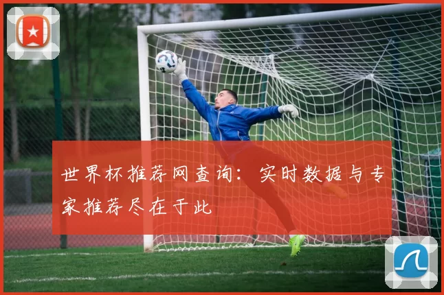 世界杯推荐网查询：实时数据与专家推荐尽在于此