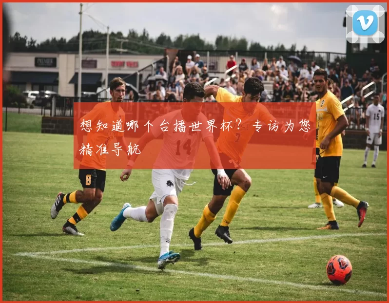 想知道哪个台播世界杯？专访为您精准导航