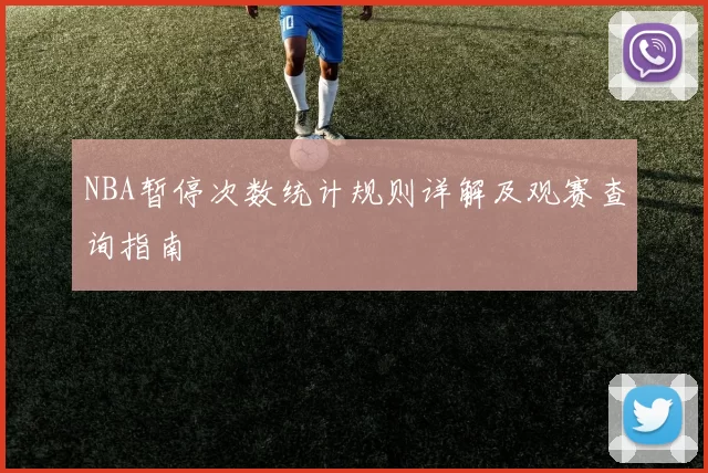 NBA暂停次数统计规则详解及观赛查询指南