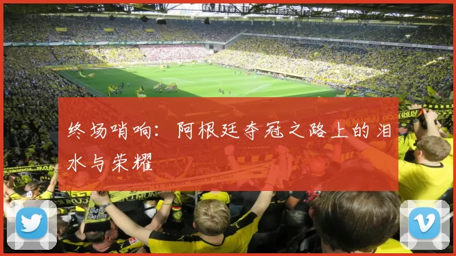 终场哨响：阿根廷夺冠之路上的泪水与荣耀