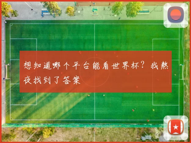 想知道哪个平台能看世界杯？我熬夜找到了答案