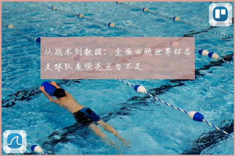 从战术到数据：全面回顾世界杯各支球队表现亮点与不足