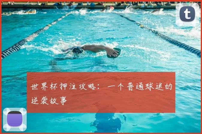 世界杯押注攻略:一个普通球迷的逆袭故事