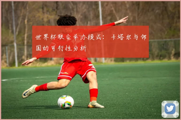 世界杯联合举办模式：卡塔尔与邻国的可行性分析