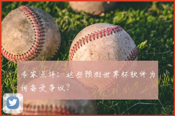 专家点评：这些预测世界杯软件为何备受争议？