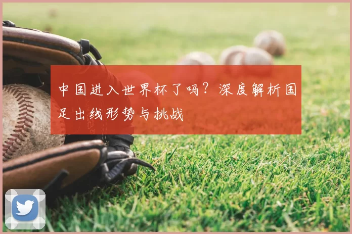 中国进入世界杯了吗？深度解析国足出线形势与挑战