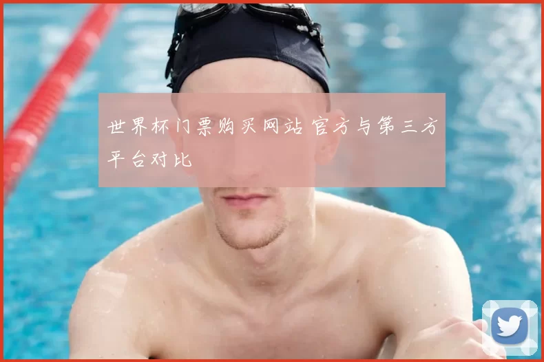 世界杯门票购买网站 官方与第三方平台对比