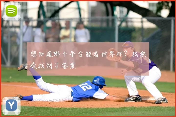 想知道哪个平台能看世界杯？我熬夜找到了答案
