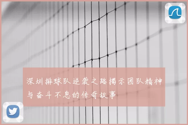 深圳排球队逆袭之路揭示团队精神与奋斗不息的传奇故事
